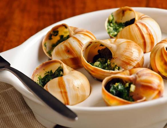 Sniglar och grodlår!