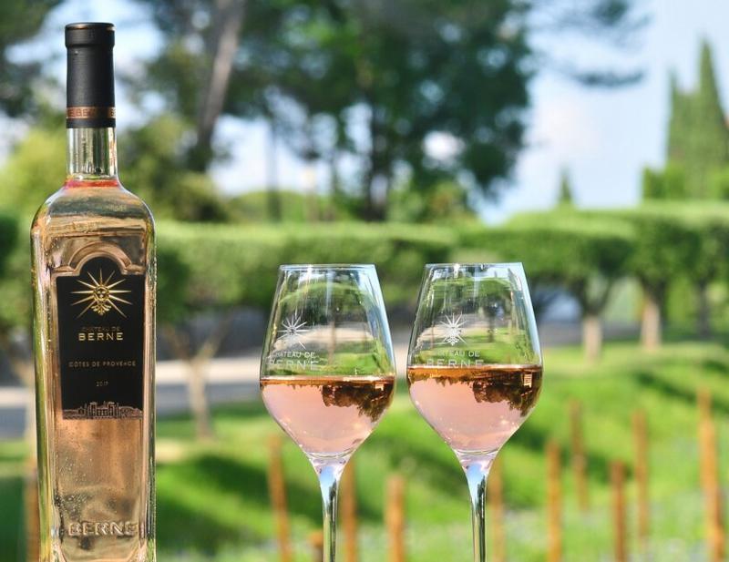 Vingårdstur med provsmakning