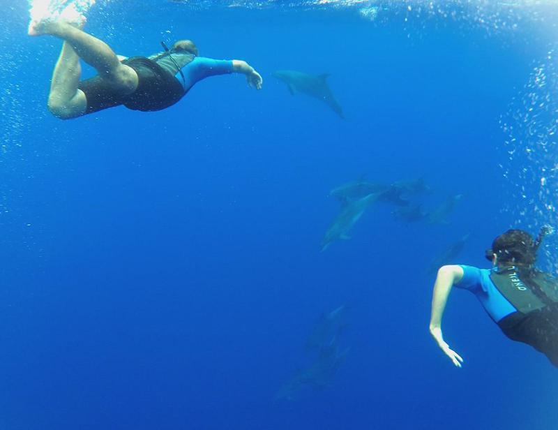 Snorkling and Swim with Dolphins