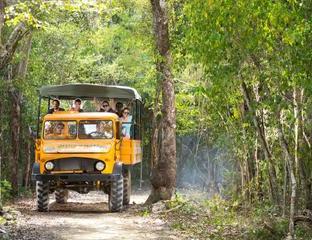 Jungle Buggy Tour