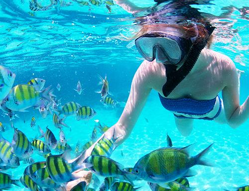 Marine Park Snorkeling, San Juan, Puerto Rico