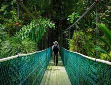 day tour jungle and hanging bridges