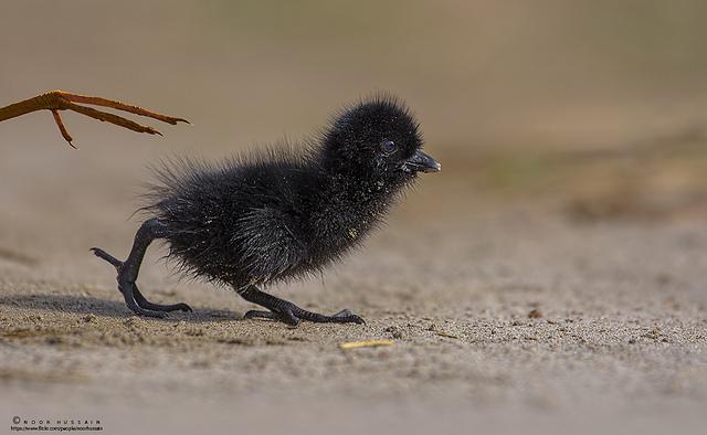 Utflykt till annan ö