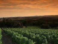 Flygresa till Toscana