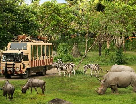 Day Trip to Bali Safari