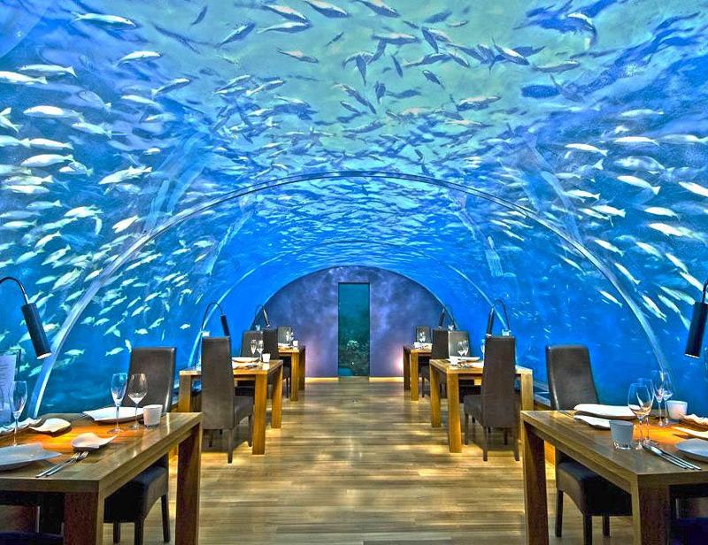 Bidrag till upplevelse