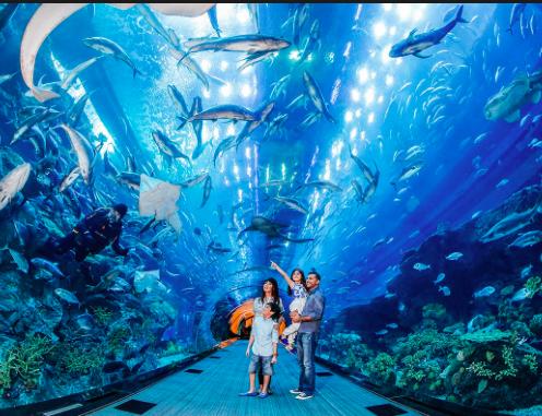 Dubai Aquarium