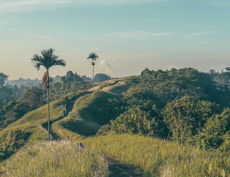 Äventyr bland risfält och djungel