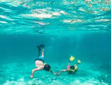 Dykning vid korallrevet