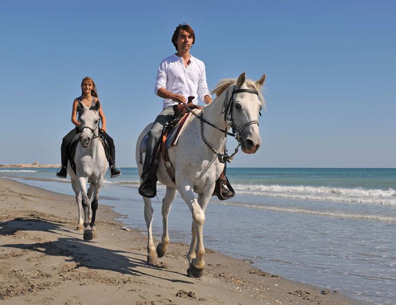 Aruba Horseback Riding