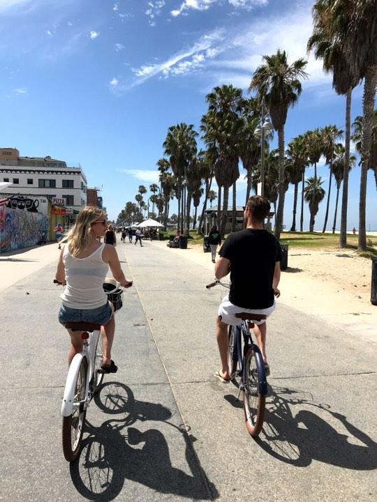 Frivilligt bidrag och tips på aktivitet