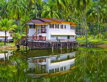 Djunglhotell utanför Kapstaden