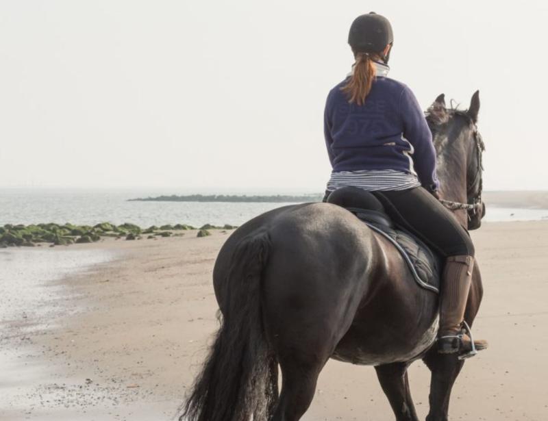 Ridetur på Muriwai Beach