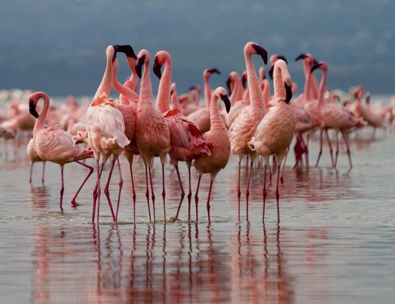 Lake Manyara