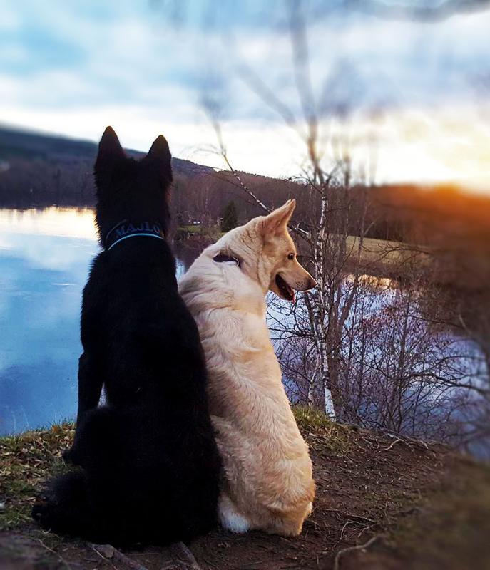 Peter Olsson & Linnéa Wisborg