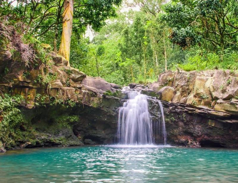 Regnskog och vattenfalls-äventyr