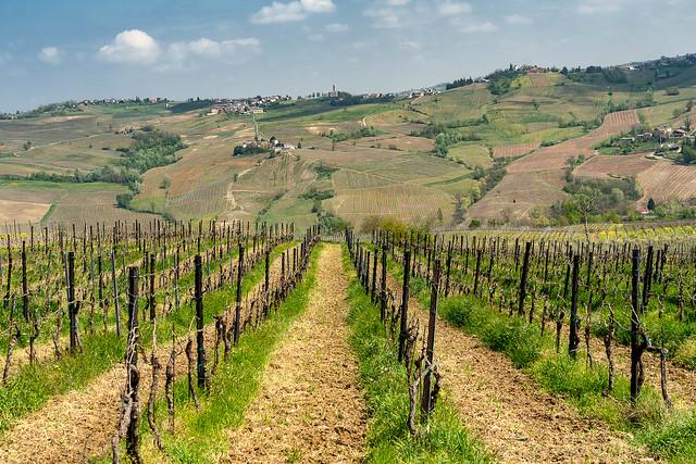 Övernattning på vingård