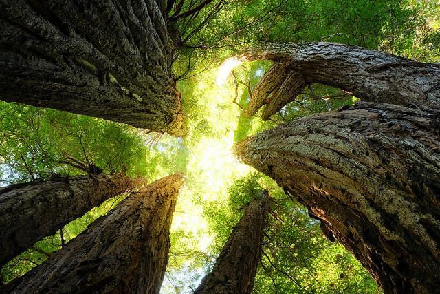 Besöka nationalparker