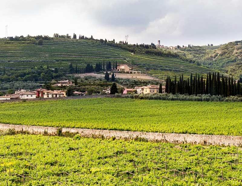 Vinprovning och hotell