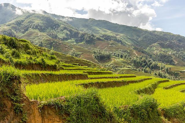 Sykkeltur ned risterrassene