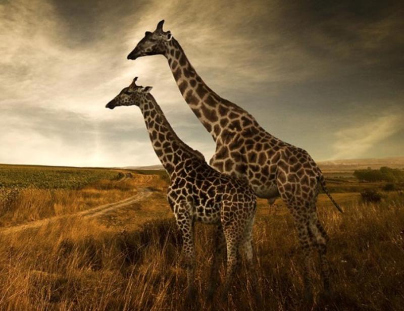 Världens vackraste nationalpark