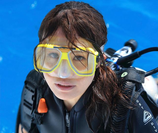 Scuba diving in the great barrier reef
