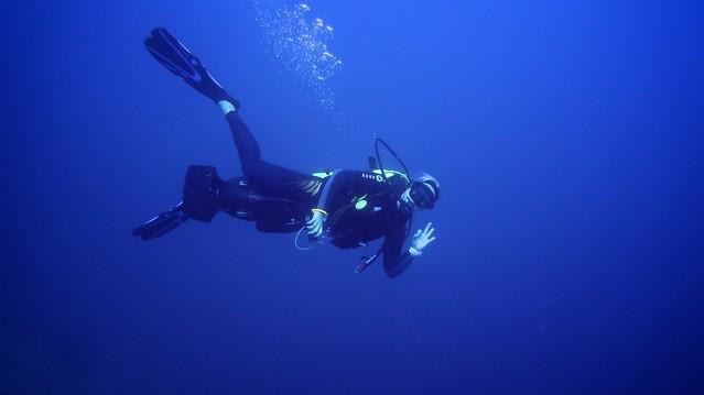 Dykketur for å se hammerhai ++