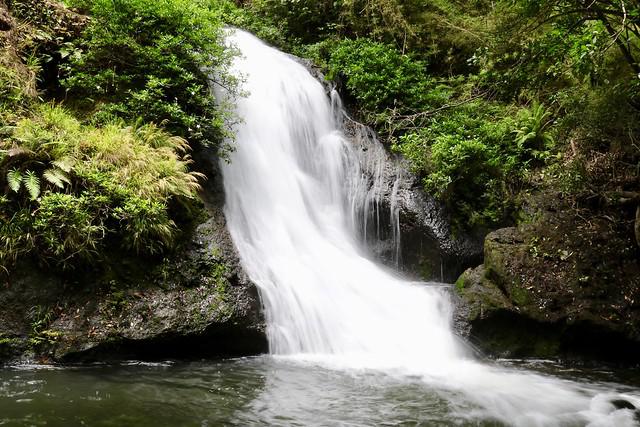 Bada i en varmkälla