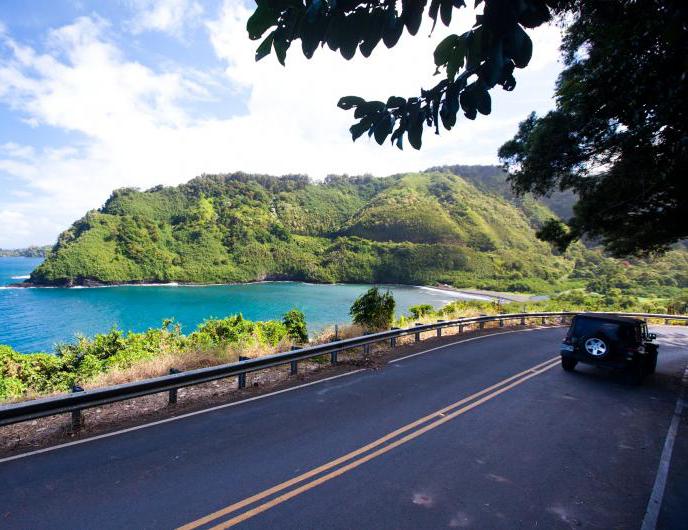 Bränsle till hyrbil