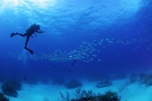 Diving in Cozumel