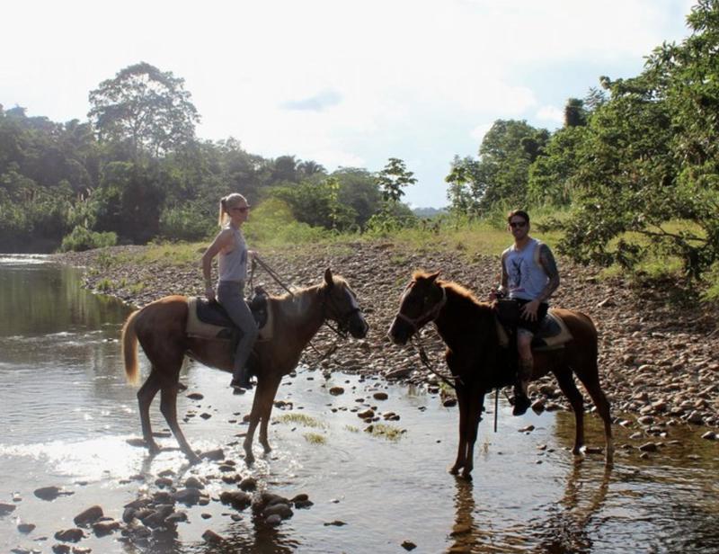 Horseback riding jungle trail