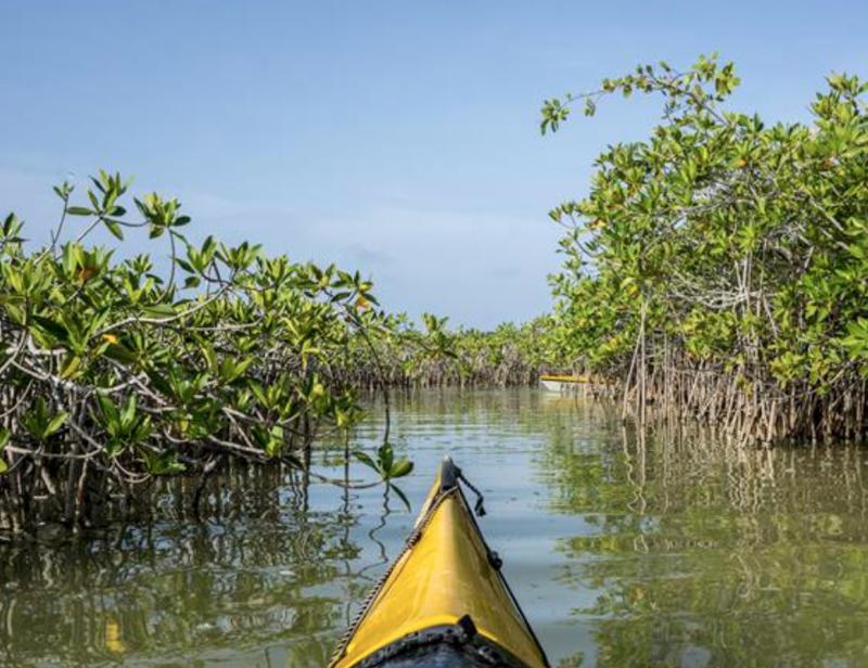 Kayaking through Sian Ka'an Biosphere Reserve