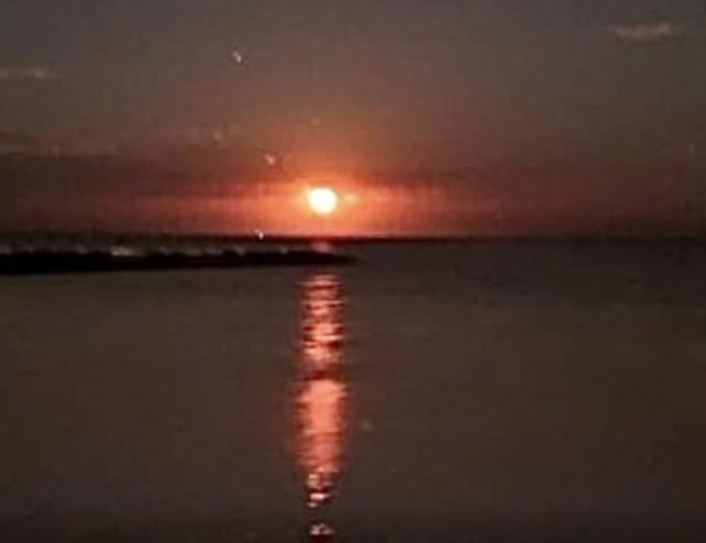 Bioluminescence Experience in Holbox