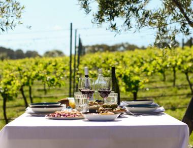 Dinner at a Vineyard