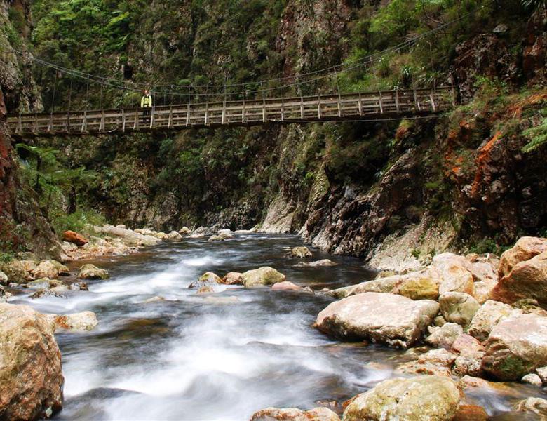 Mamaku Range och  Rotorua,