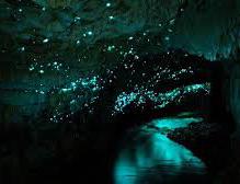 Waitomo-grottorna,