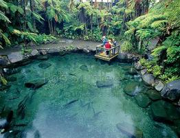 Sightseeingtur i Rainbow Springs-området