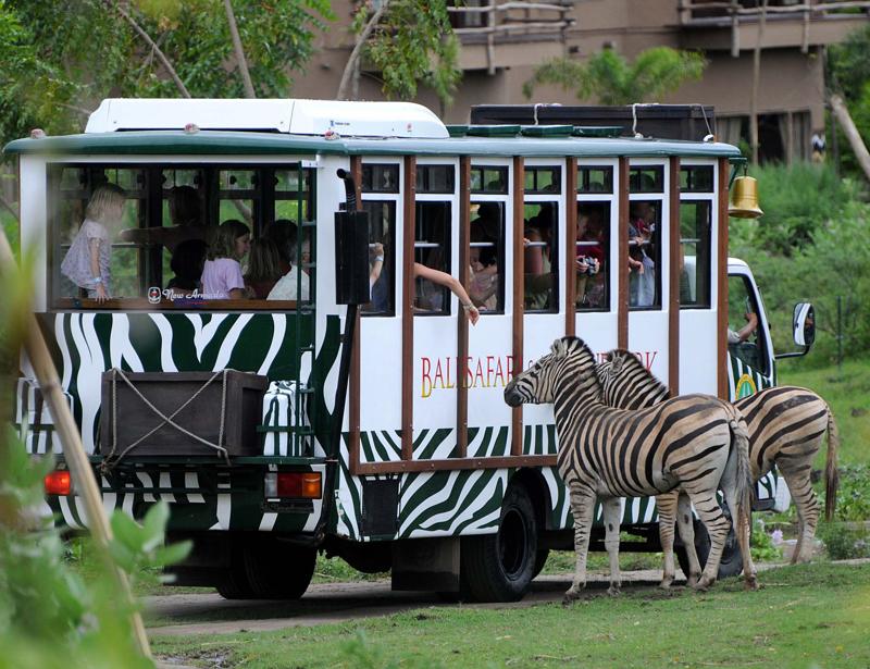 Bali Safari och Marine Park