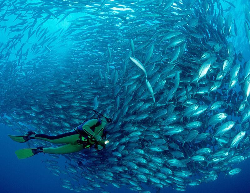 Madang Bay scuba dive