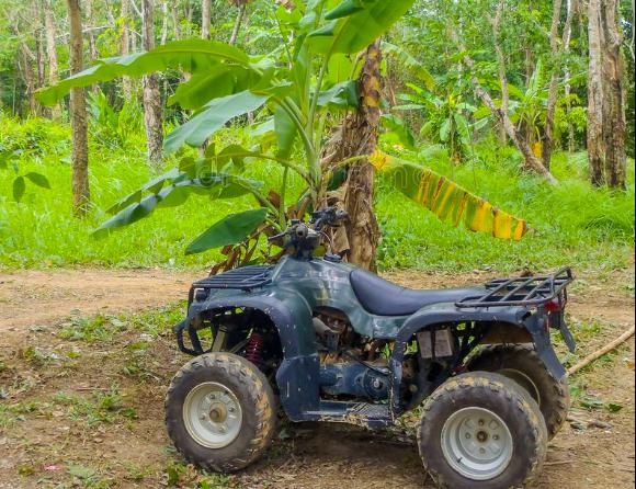 Jungle quad biking