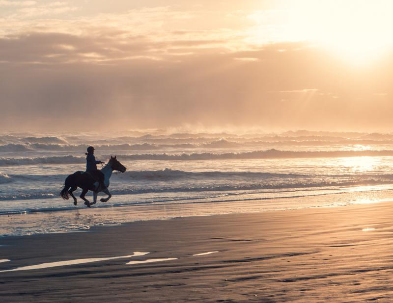 Hästridning på stranden