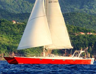 Katamaran bland sköldpaddor