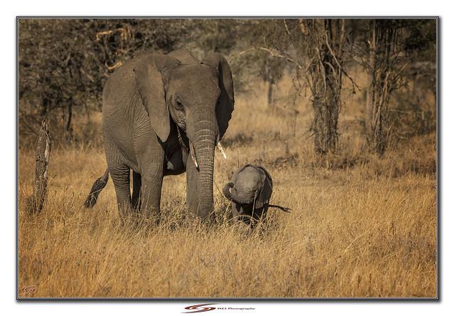 Systemkamera för att föreviga resan