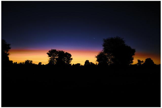 Drinkar i solnedgången